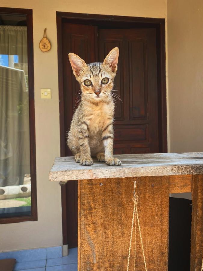 Jimador'S Homestay ギリ・トラワンガン エクステリア 写真